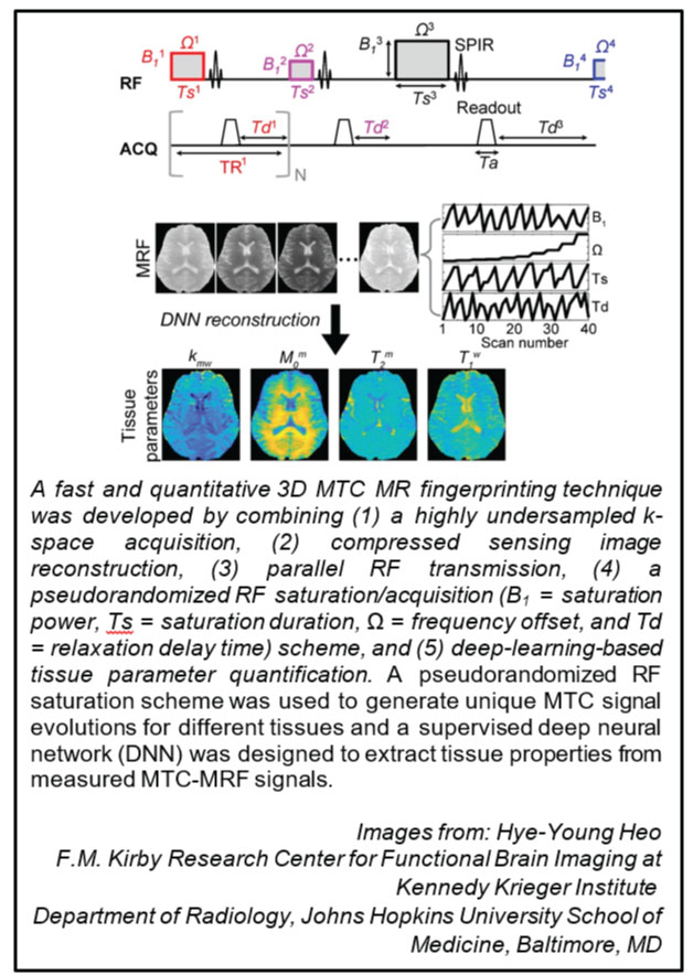 Multiparameter MRI to Assess Tissue Composition Kennedy Krieger
